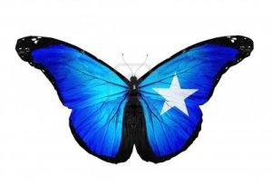 16438486-somalia-flag-butterfly-flying-isolated-on-white-background
